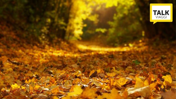 OASI ZEGNA UN PARADISO NATURALE IN PIEMONTE